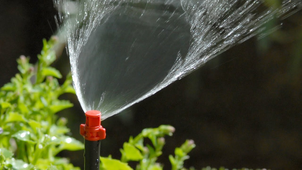 Tools and Equipment for Effective Watering