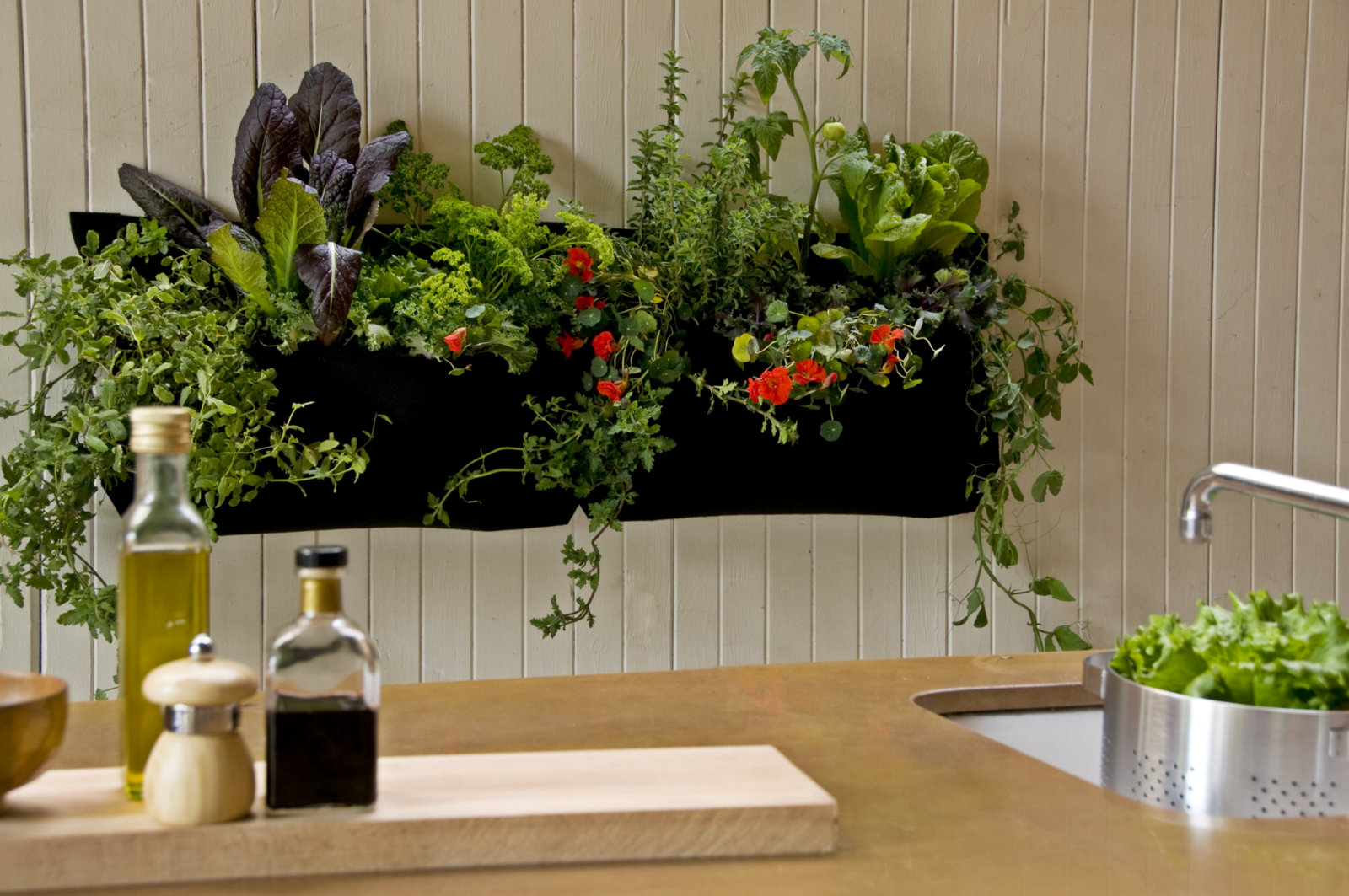 Best Plants for Indoor Kitchen Gardens