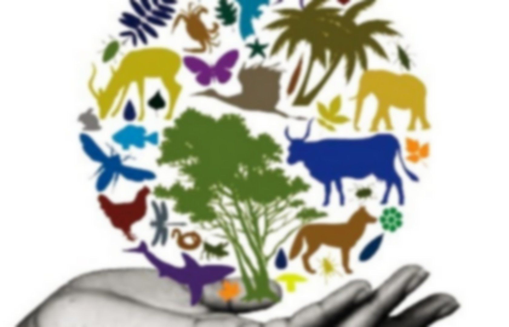 Biodiversity and Ecological Services