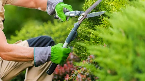Care and Maintenance