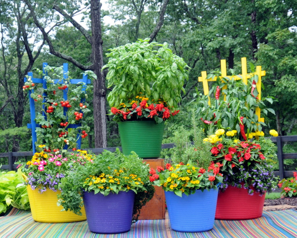 Container and Small Space Spring Gardening