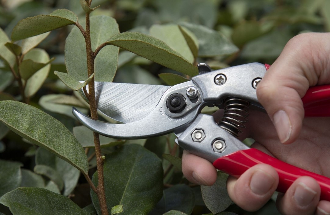 Cutting and Pruning Tools