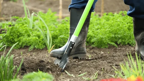Digging and Cultivation Tools