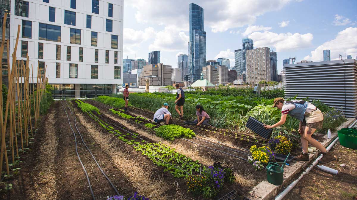 Environmental Benefits Driving Urban Farming Adoption