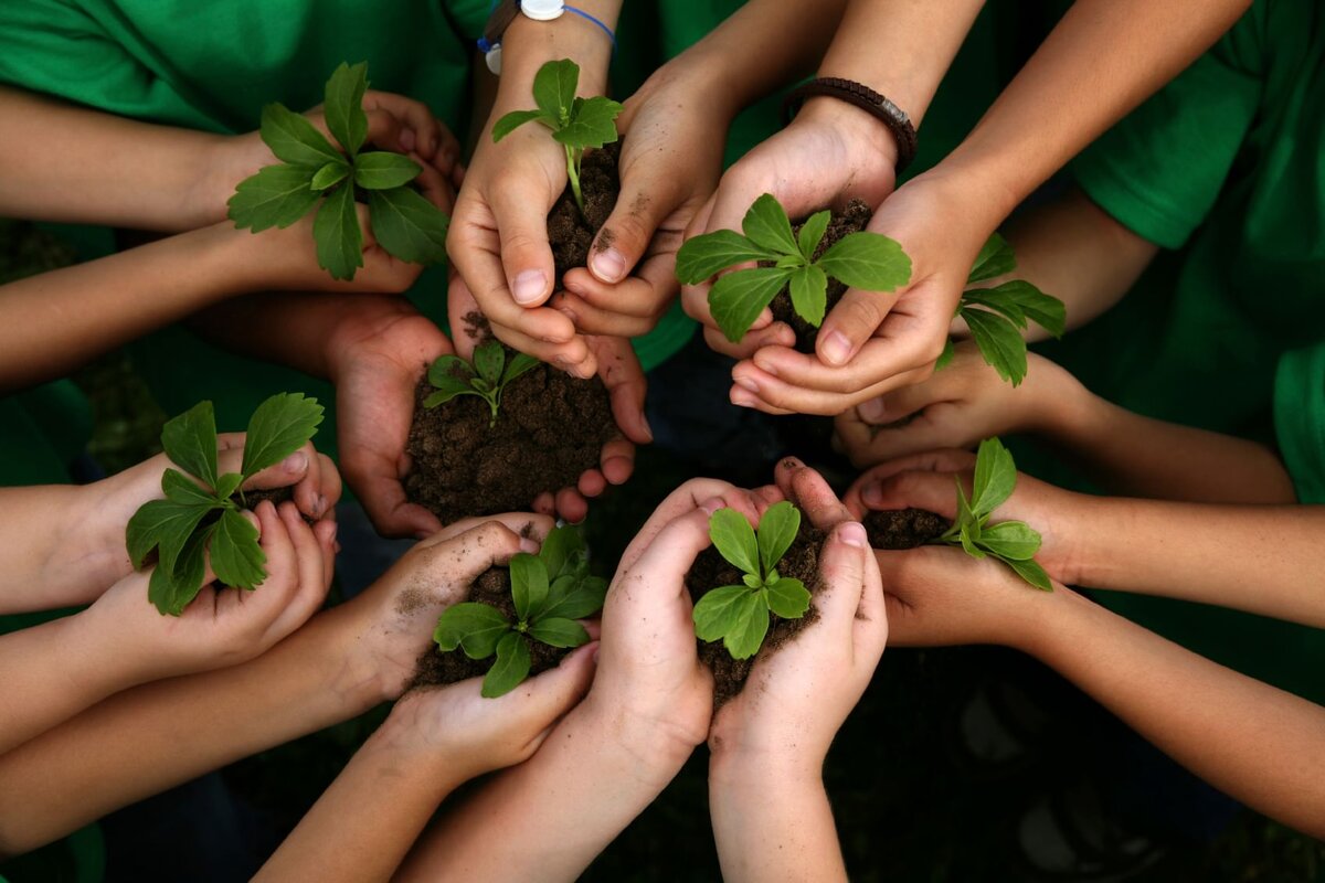 Environmental Considerations and Best Practices