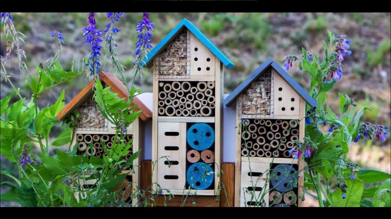 Essential Materials for Building Your Bee Hotel
