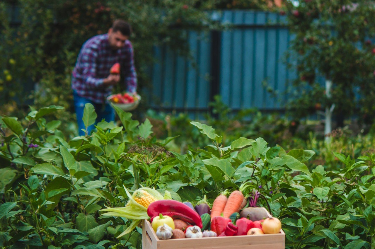 Extending the Growing Season