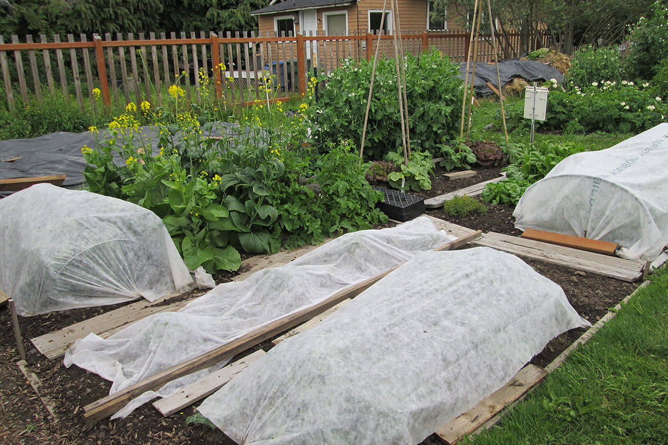 Frost Protection and Season Extension