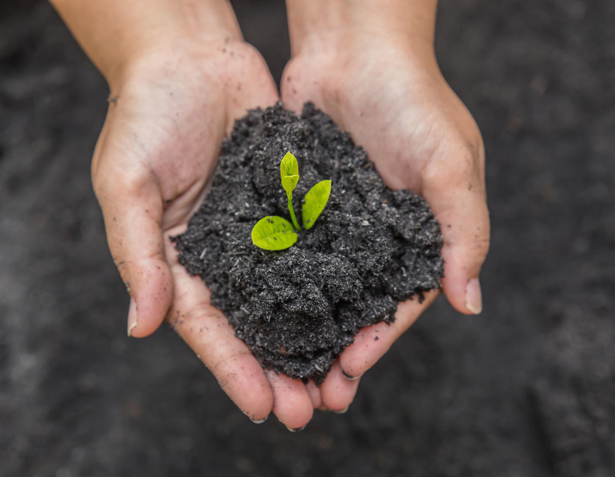 Maintaining Loamy Soil Quality