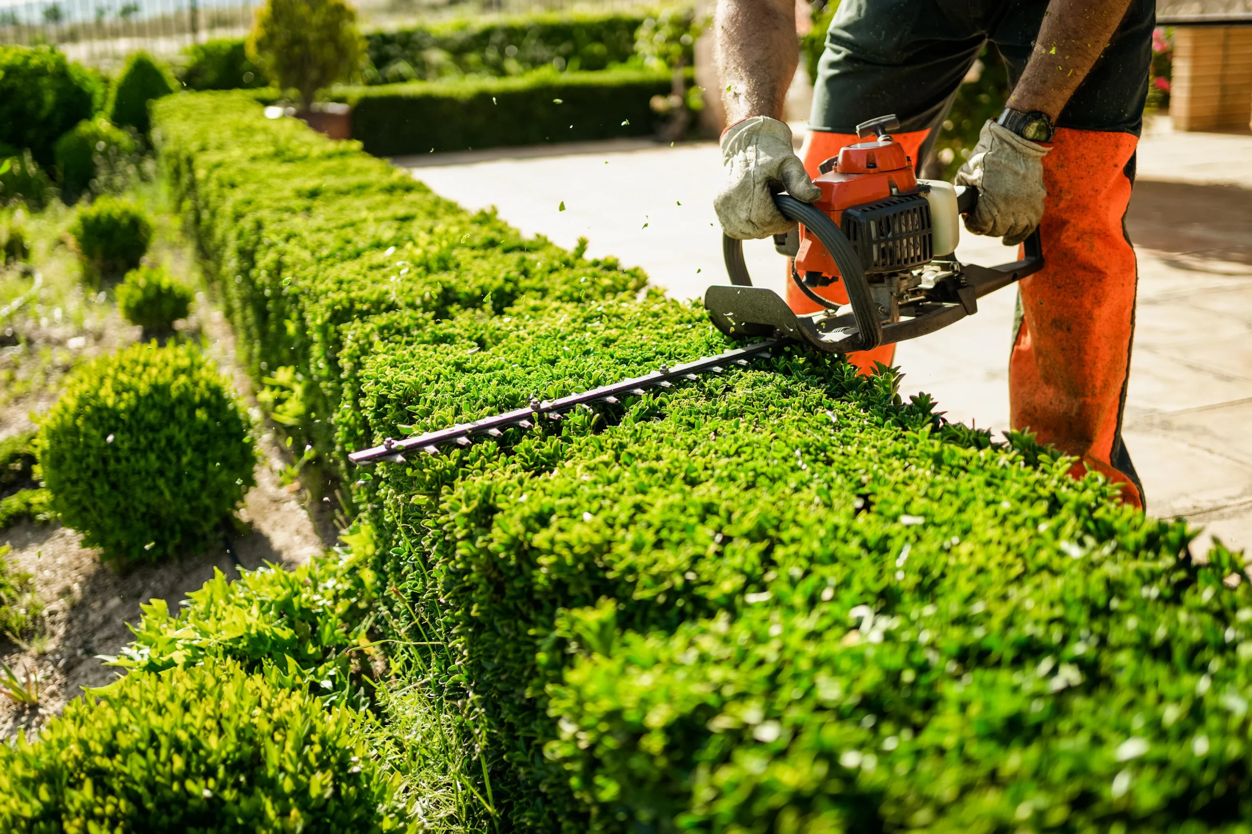 Maintenance and Seasonal Care