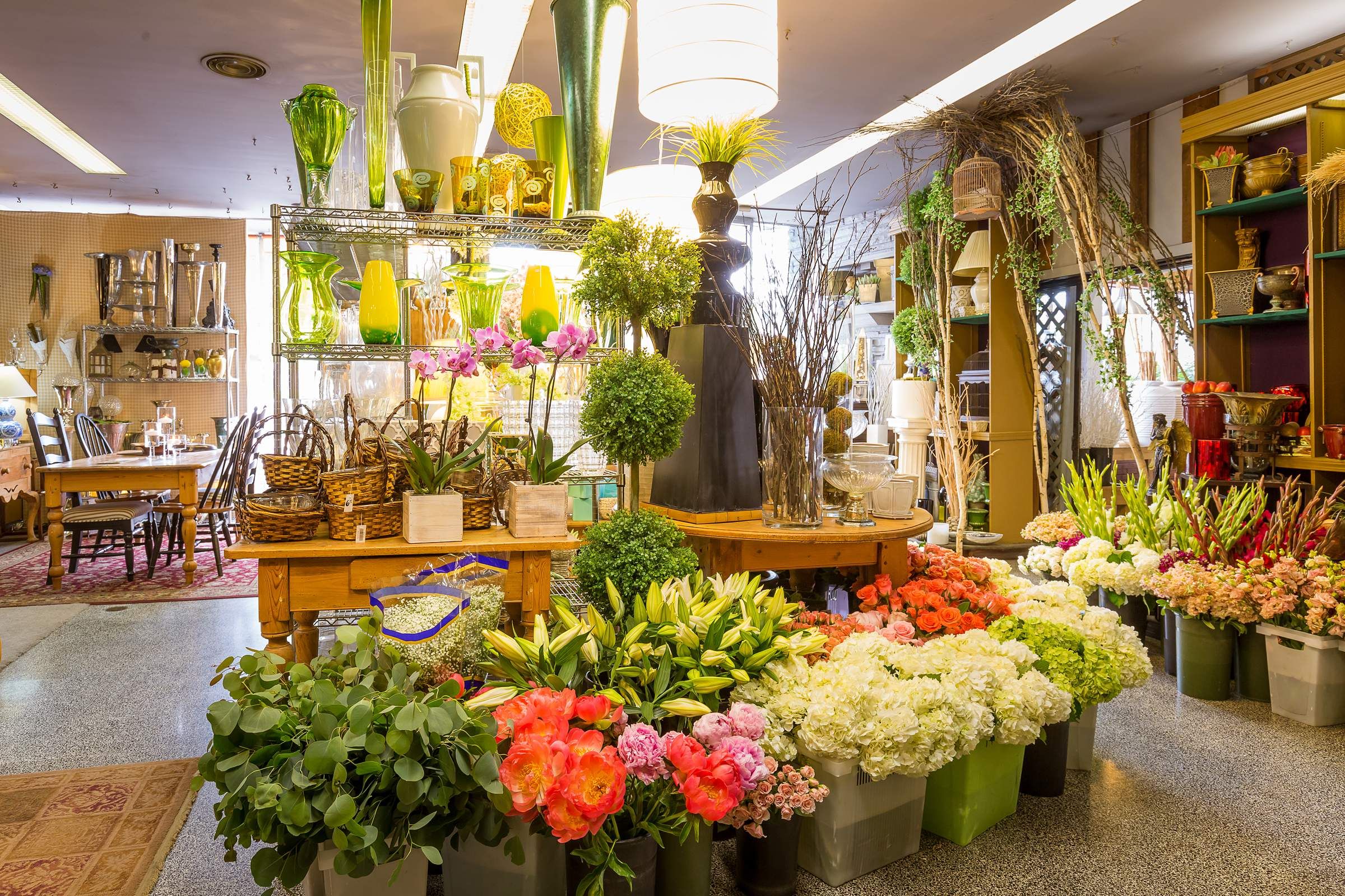 Maximizing Your Seasonal Flower Display