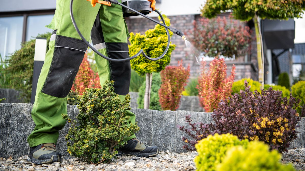 Natural Pest Management and Organic Practices