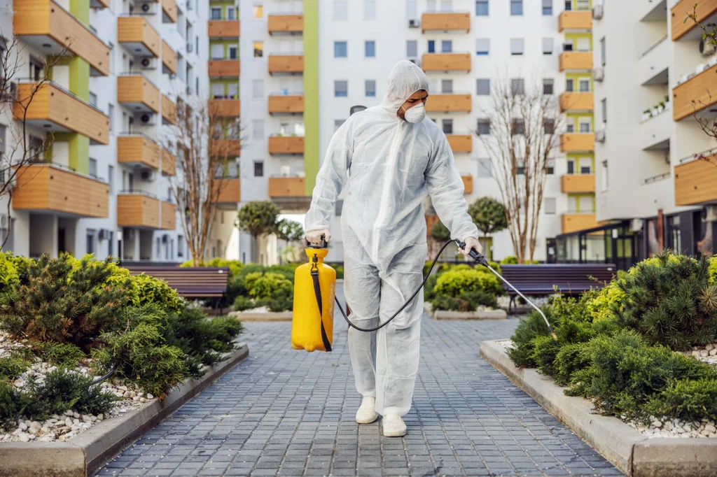 Neglecting Pest and Disease Prevention