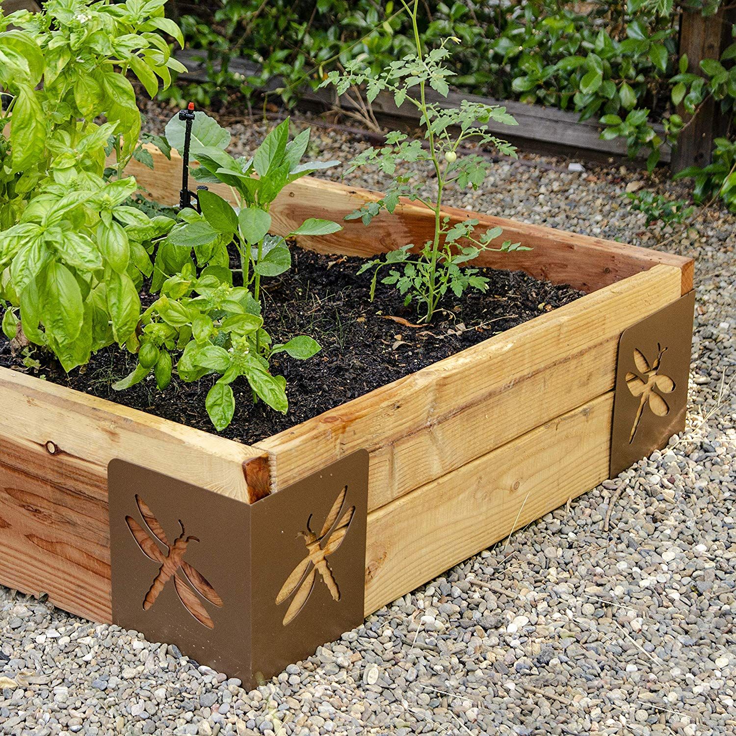 Planning Your Raised Garden Bed