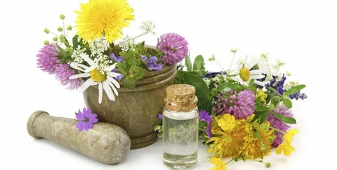 Providing Essential Resources Beyond Flowers