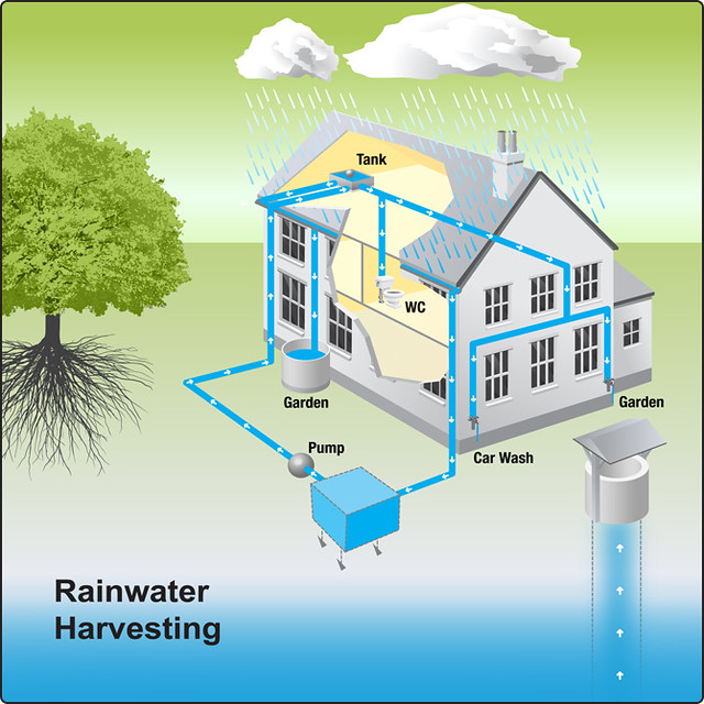 Rainwater Harvesting Systems