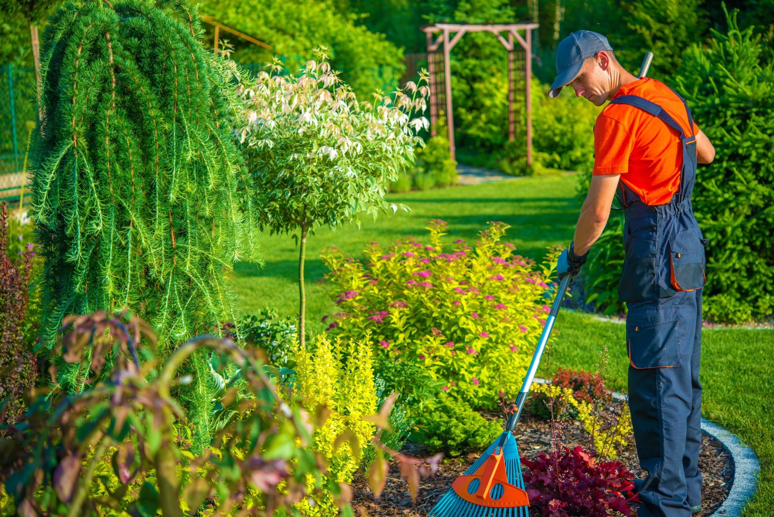 Seasonal Care and Maintenance