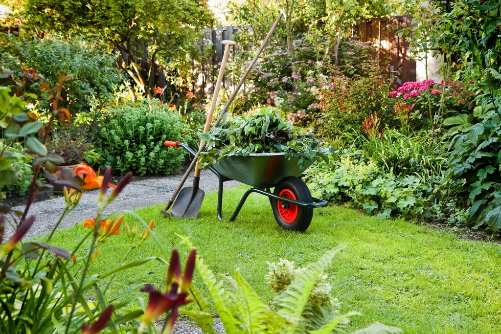 Seasonal Garden Management for Bird Appeal