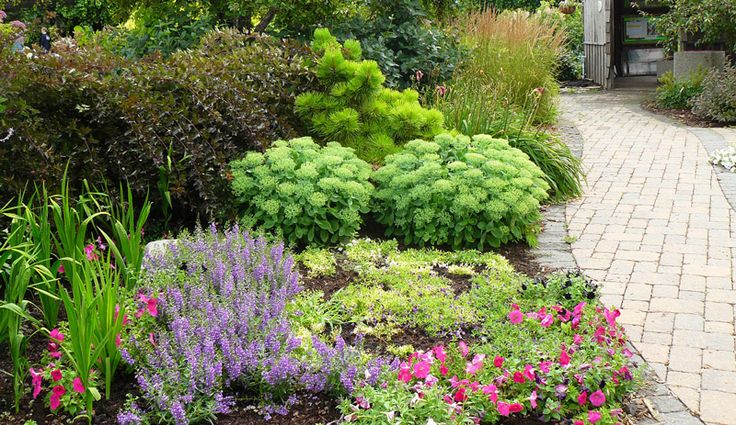 Seasonal Planning and Plant Selection