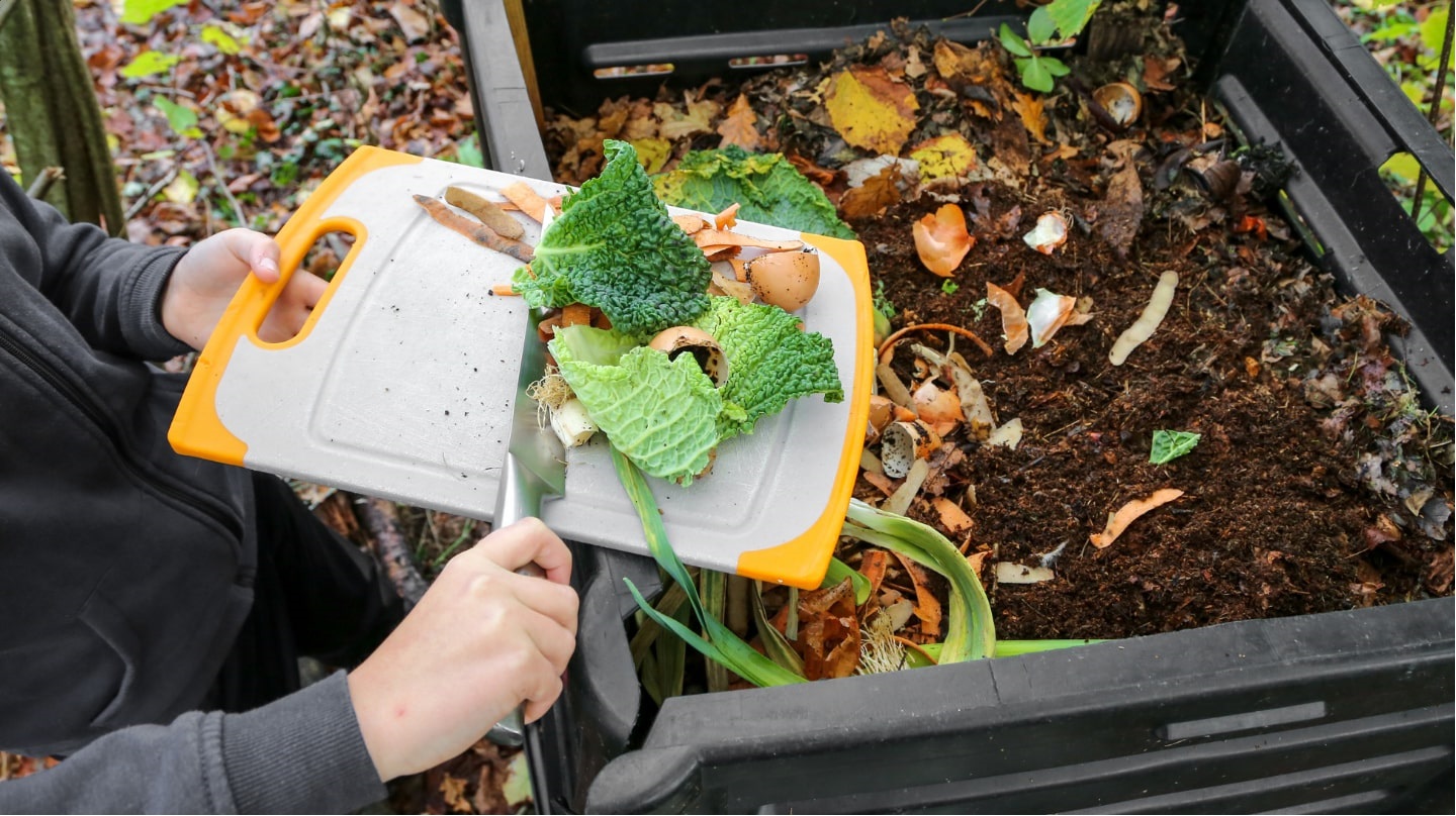 Setting Up Your First Compost System