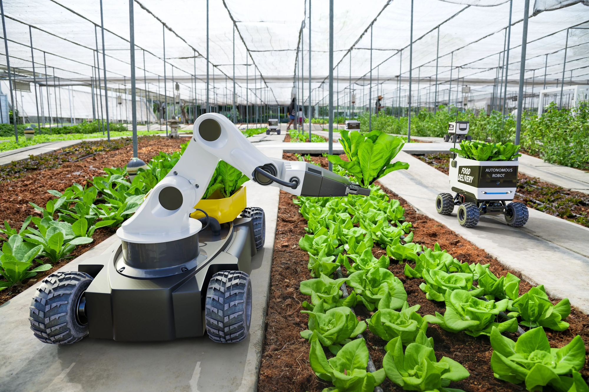 Smart Garden Technology and Automation
