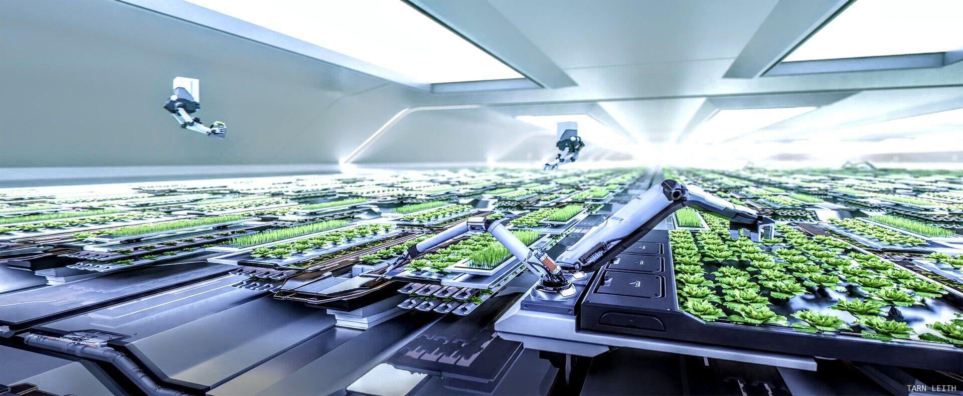 Technological Innovation Powering Modern Urban Farms