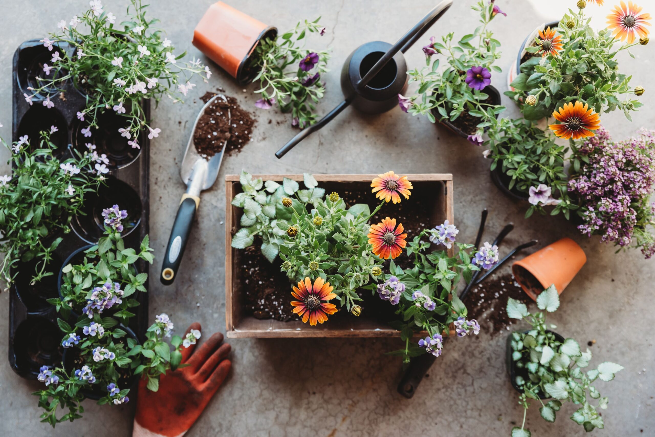 Technology and Tools for Summer Garden Success