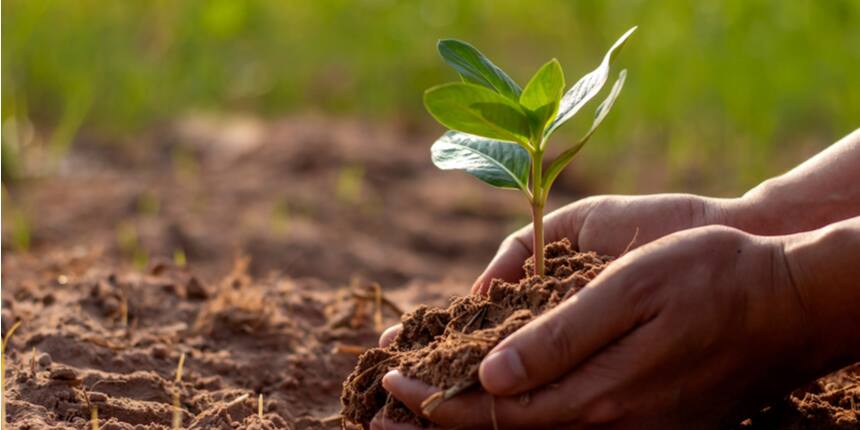 The Foundation of Soil Health