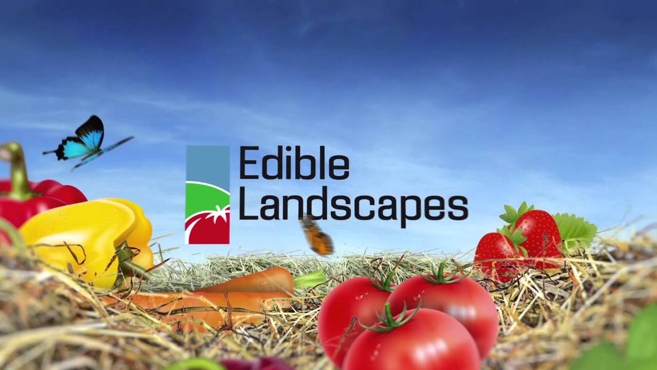 The Multifaceted Benefits of Edible Landscapes