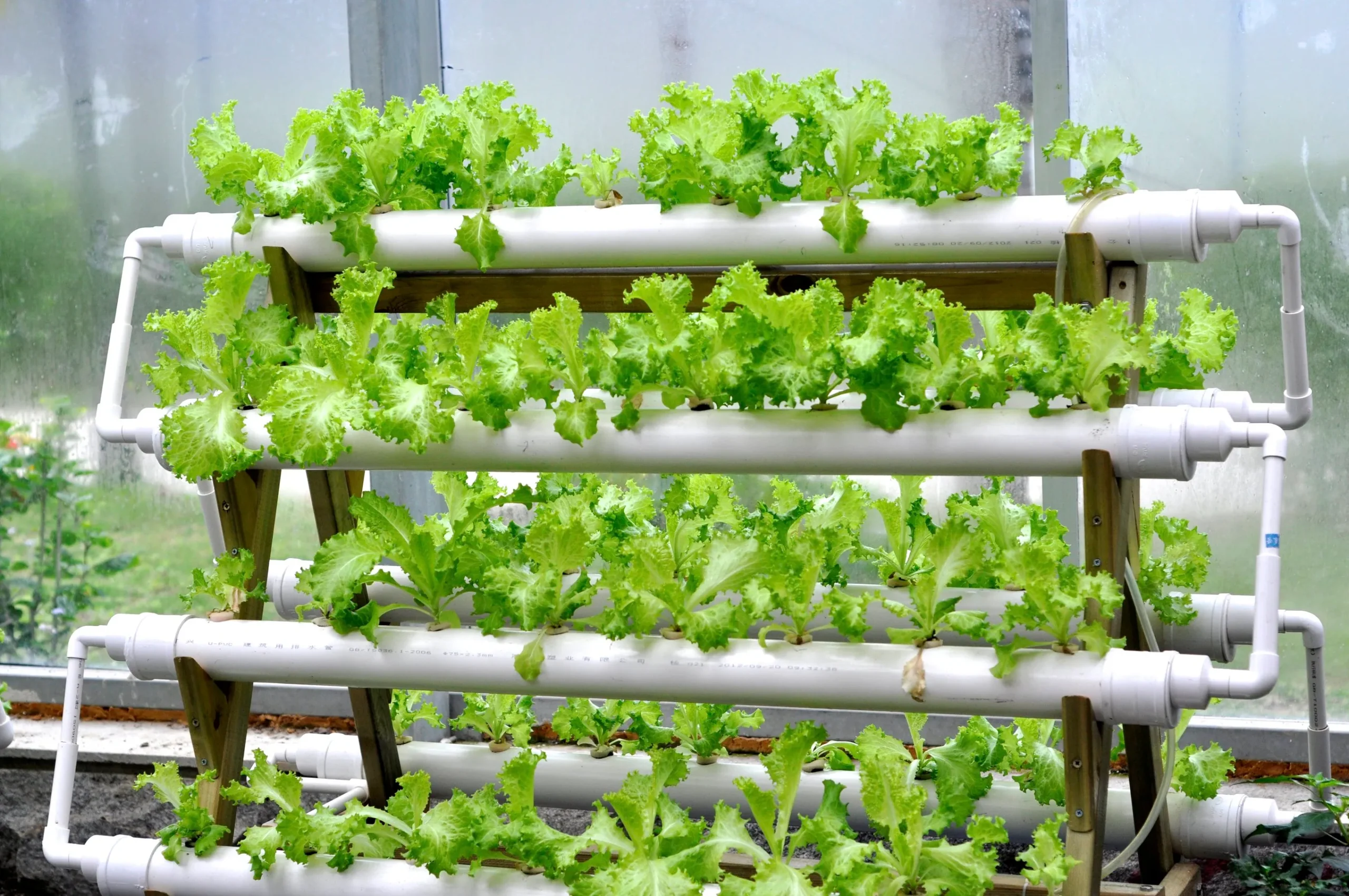 Types of Hydroponic Systems