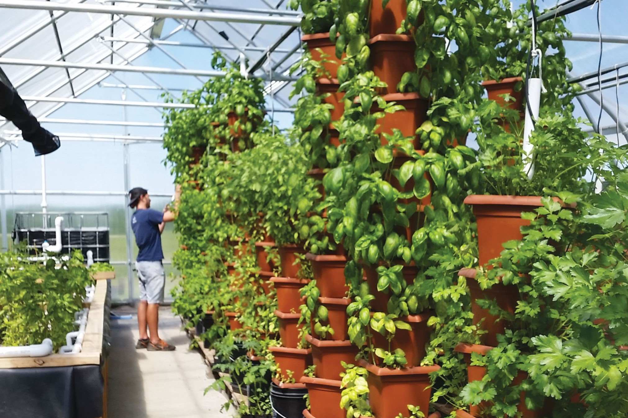 Vertical Gardens and Space-Maximizing Techniques