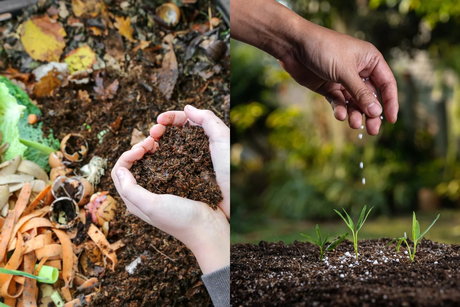 When to Use Fertilizers vs. When to Use Compost