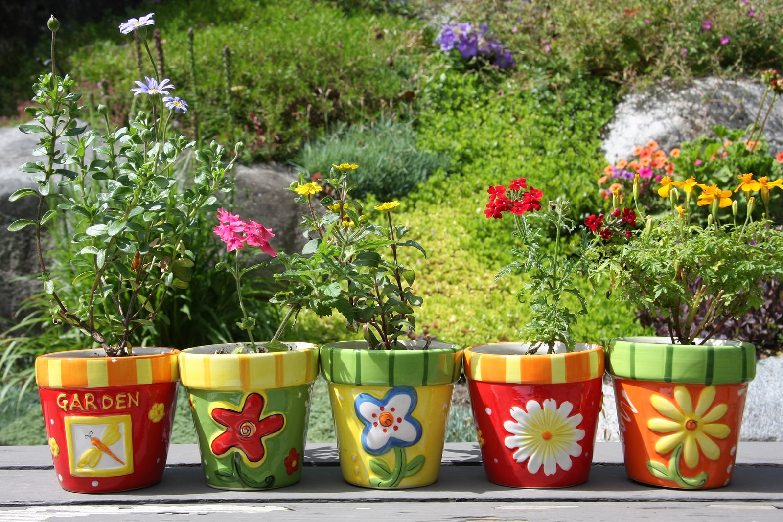 Choosing the Right Containers for Your Patio Garden
