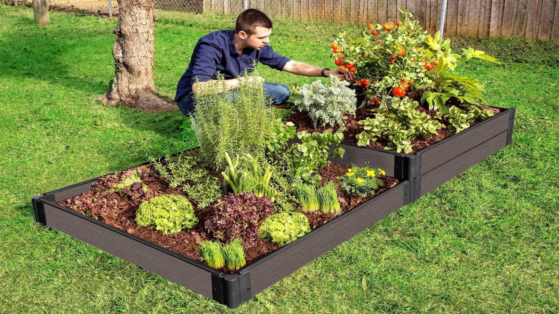 Pest and Disease Management for Raised Bed Vegetable Gardening
