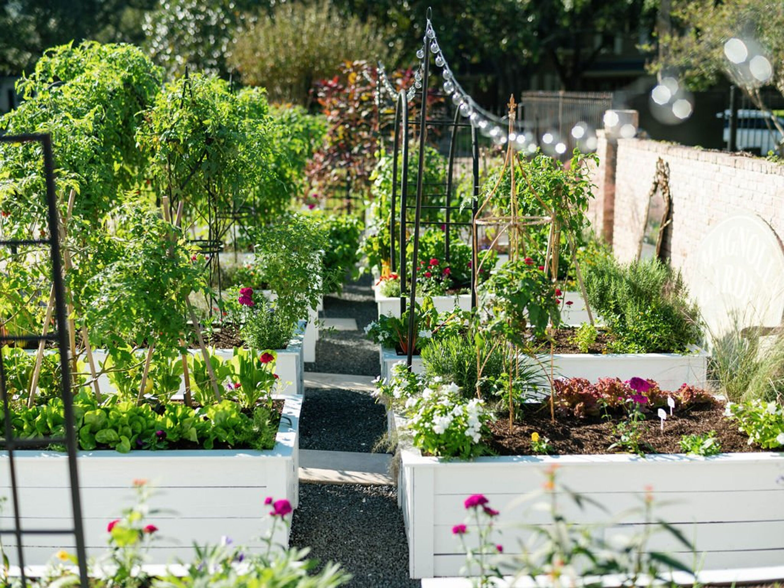 Selecting Beginner-Friendly Vegetables for Your Raised Bed Garden