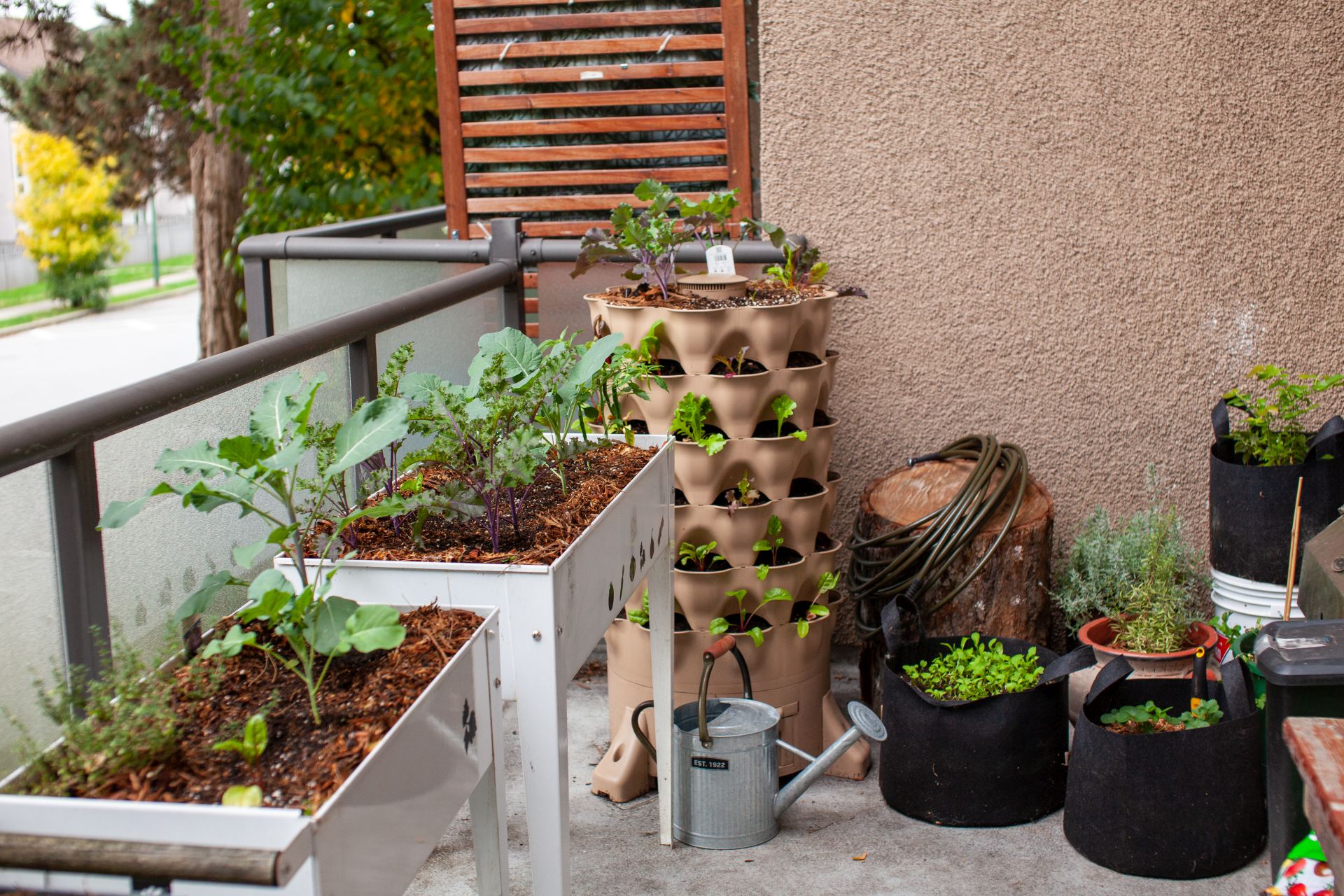 Selecting Containers for Small Space Growing