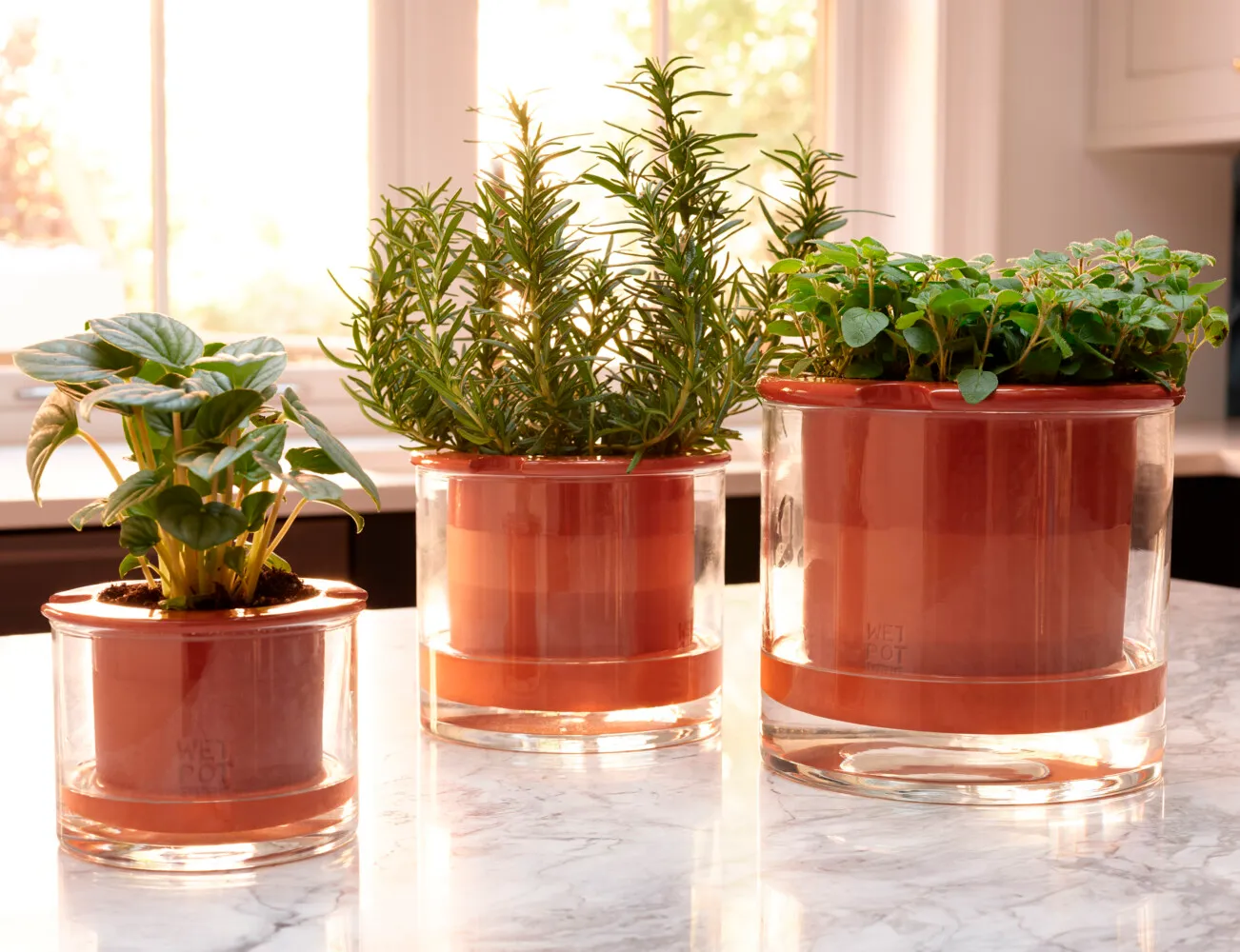 Top Self-Watering Planters for Indoor Plants in 2025