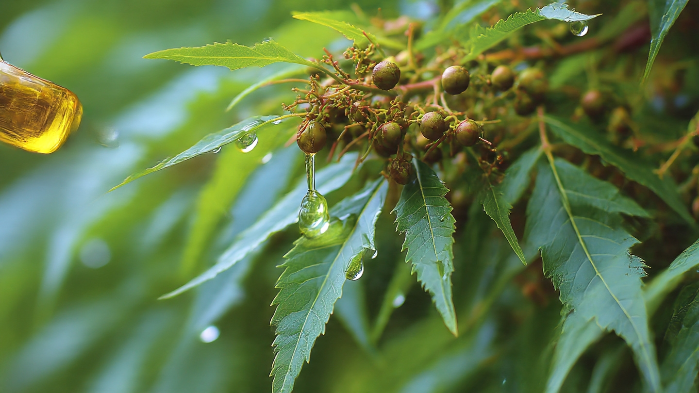 Neem Oil for Comprehensive Pest Management