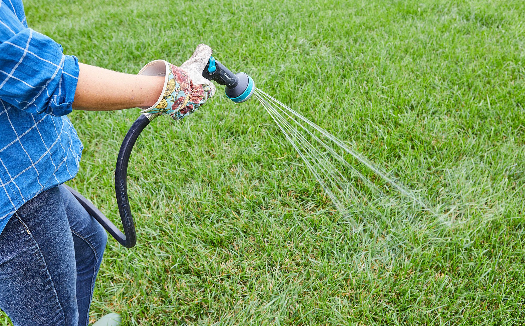 Watering Best Practices for Thriving Specimens