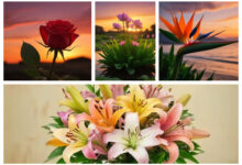 The World's Seven Most Beautiful Flowers