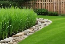 Lemon Grass in Yard - How to Grow