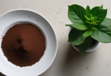 Composting with Coffee Grounds-coffee grounds for plants