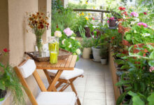 Balcony Gardening Tips