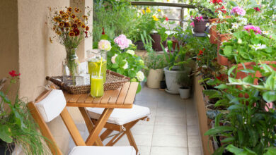 Balcony Gardening Tips