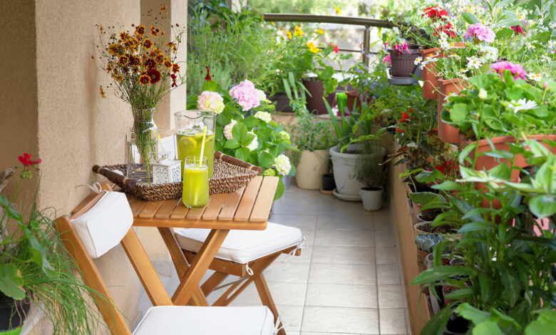 Balcony Gardening Tips