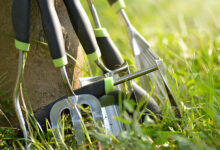 Best Gardening Tools