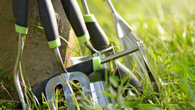 Best Gardening Tools