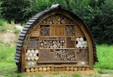 Build a Bee Hotel