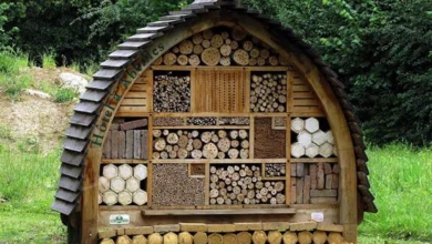Build a Bee Hotel