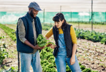 Common Gardening Mistakes